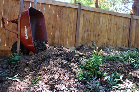 Building up the Lasagna Garden - Dig for Your Dinner