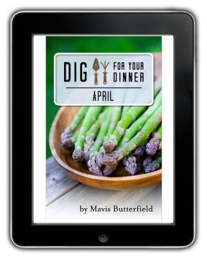 Dig For Your Dinner April eBook