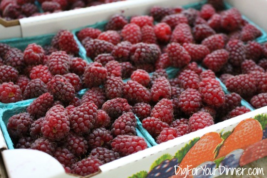 Recipe for Loganberry Jam