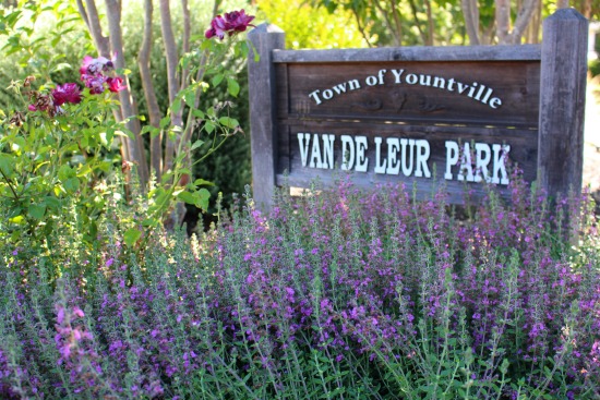 Van De Leur Park in Yountville, California